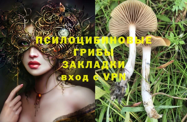 хмурый Верея