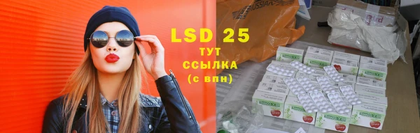 хмурый Верея