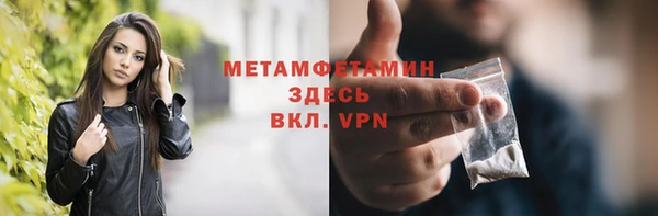 хмурый Верея