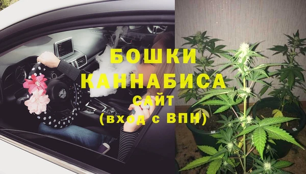 хмурый Верея
