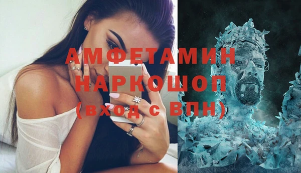 хмурый Верея