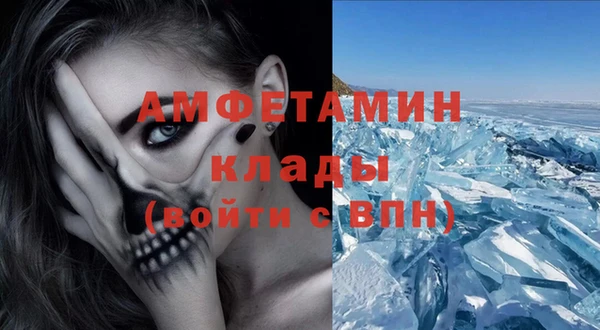 хмурый Верея